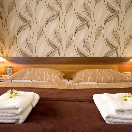 Centrum Panzio Guest house 3*