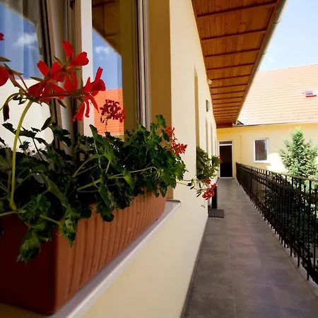 Maison d'hôtes Centrum Panzio