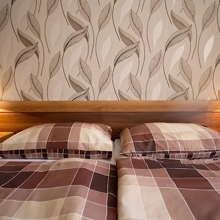 Centrum Panzio 3*