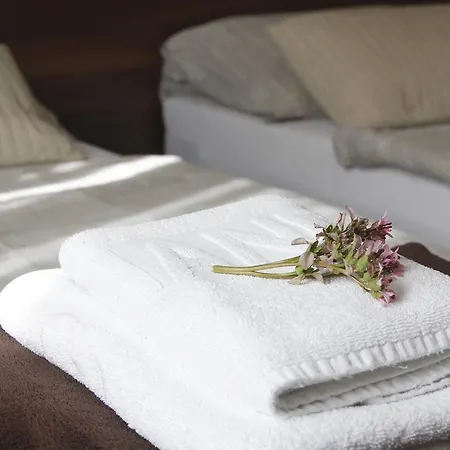 Centrum Panzio Mohács