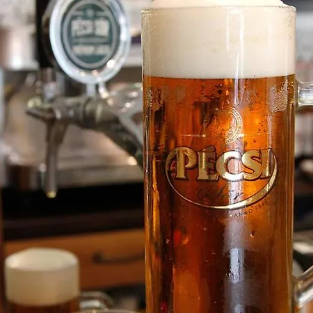 Centrum Panzió Mohács