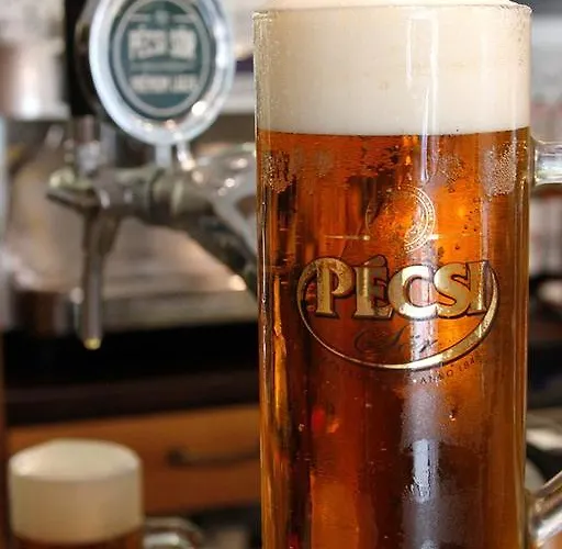 Centrum Panzió Mohács
